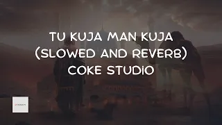 Tu Kuja Man Kuja | Slowed and Reverb | Coke Studio