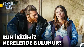 Sanem'in Aşkı Bulma Yolculuğu #103 - Erkenci Kuş