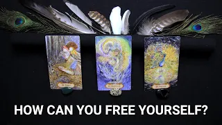 What small step can you take to set yourself free? | Pick-a-card tarot reading