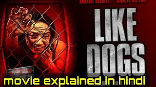 Like Dogs (2021) Explained in Hindi