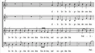 Psallite-Praetorius-Bass-Singt Und Klingt.wmv