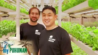 NXTLVL Farms | My Puhunan