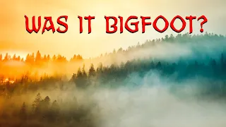 Five Creepy Bigfoot Encounter Stories Found On Reddit