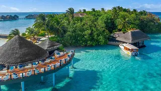 🌏 ReDiscover Maldives: ADAARAN RESORTS | KOMPAS Touroperator