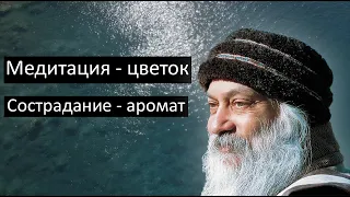 Медитация - это цветок, а сострадание его аромат. Ошо