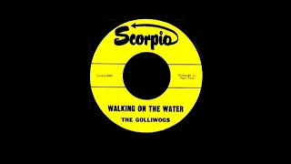 The Golliwogs   Walking On The Water