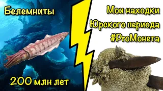 Находки Юрского периода Балтийского моря. Калининград. Эра динозавров!