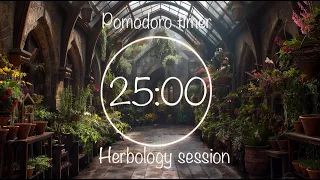 2-H Pomodoro Timer 25/5 | Study Herbology at Hogwarts| Harry Potter-inspired ambience & Rain sounds