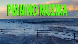 PIANINO MUZIKA | Gamtos Muzika 1val. | Meditacija Jūros Ošimas | Meditacija Kasdieniame Gyvenime