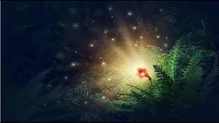 Kwiat Jednej Nocy - Alibabki [nuty i akordy]