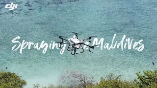 Using spray drones to protect the Maldives | DJI Stories