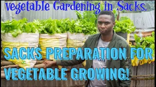 Simple Steps Of Preparing Sacks For Growing Vegetables.