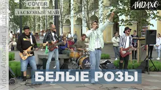 CoverBand IDAHO - "Белые розы" (Cover Юрий Шатунов, Ласковый Май)