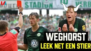 Ik Heb Genoten van Wout Weghorst, Hij Werkt als een Kampioen!