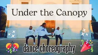 Dance cover of "Under the Canopy" by Frank Edwards |the glorious sisters Igwe. #newyear2022