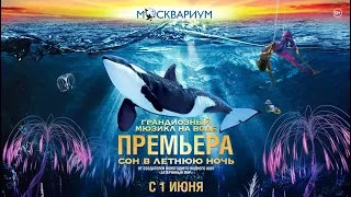 Водное шоу «Сон в летнюю ночь» в Москвариуме