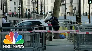 Man drives into gates of Downing Street, British prime minister's home