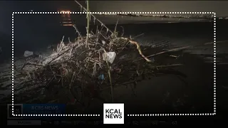 Trash starts to wash up on shores as rain subsides