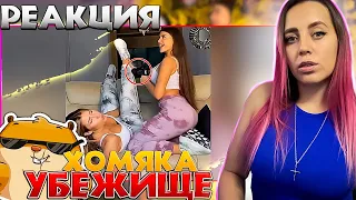 LIKE A BOSS COMPILATION #95 AMAZING Videos 2022 #ЛайкЭбосс |РЕАКЦИЯ на  - Убежище Хомяка