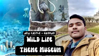 Animals in Wildlife Museum | Part-4