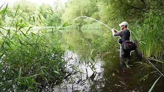 This Powerful Predator Was Hiding In The Forgotten Pond!