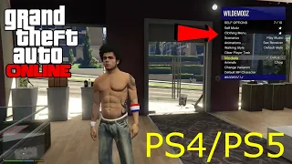 HOW TO INSTALL A MOD MENU ON PS4/PS5 (NO JAILBREAK) GTA 5 ONLINE! 2022