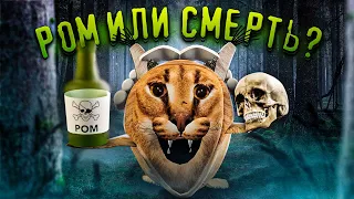 ДОКТОР ЛИВСИ ИДЕТ ИСКАТЬ ПЕЛЬМЕНИ | ИГРУШКИ БЛОПТОП