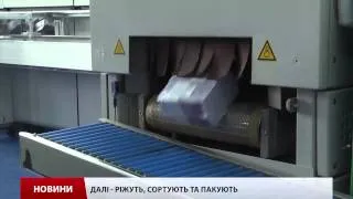 Як виготовляють українську гривню