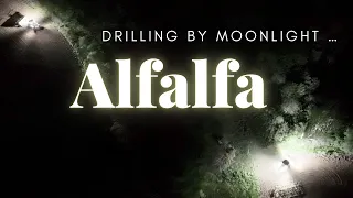 Drilling BY Moonlight?! Planting alfalfa seed at 2am to beat the rain! {Part 2 } | #femalefarmer