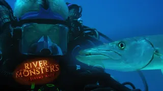 Diving With Vicious Barracuda! | BARRACUDA | River Monsters