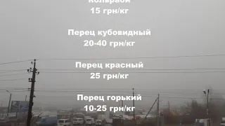 28 ноября 2021 года. Цены в Копанях на рынке