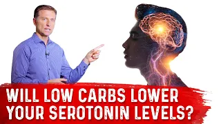 Will a Low-Carb Diet Lower Your Serotonin Levels? – Dr. Berg