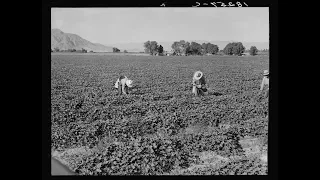 Lectures in History: Agricultural Labor & Organic Farming Preview