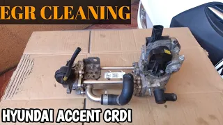 Full Tutorial: EGR Cleaning Hyundai Accent CRDI