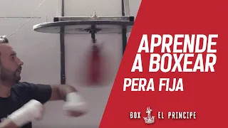 Box el Principe : Aprender boxeo (3) como pegar la pera fija