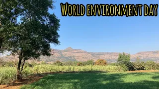 World Environment Day 2021 |  Environment day song for kids | Environment Day Celebrations Ideas