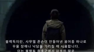 tvN드라마 “블랙독” 뜻