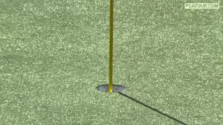 Tiger Woods' incredible chip in on #16 at the Memorial Tournament 2012