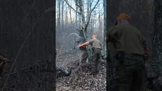 Hanging a BIG WOODS Buck Overnight! 🦌