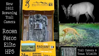 2022 New Browning Recon Force Elite HP5 Trail Camera Review