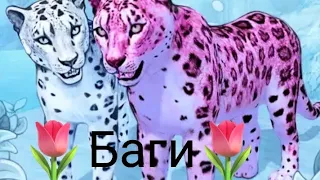 🐾Баги 🐾 🐾Семья снежного леопарда🐾