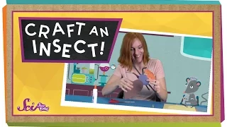 Craft an Insect! | Project for Kids