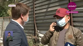 Эко-скандал: более 100 деревьев вырубила иностранная компания в двух районах Алматы (21.09.20)