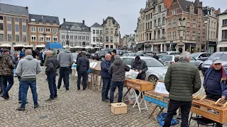 Targi gołębi pocztowych w Lier w Belgii dnia 10 marca 2024 roku😉