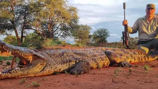 Crocodile Hunting