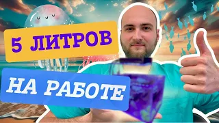 Жизнь в 5-литровом морском аквариуме мини-океан НА РАБОЧЕМ СТОЛЕ