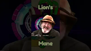 Lion's Mane Remix