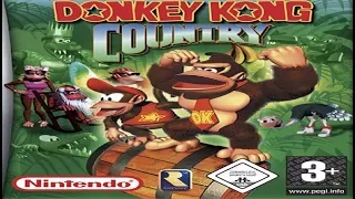 TAP (GBA) Donkey Kong Country 1 (101% & No Damage)