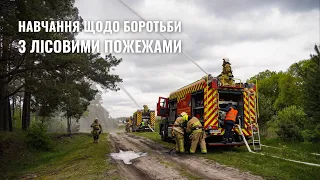 Навчання щодо боротьби з лісовими пожежами #дснс_тернопіль #рятувальники #навчання