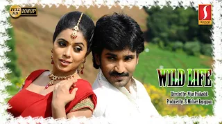 Wild Life English Full Movie | Aadhi | Shamna Kasim | English Dubbed Movie | Full HD Movie